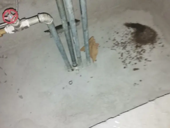 雄县卫生间测漏水价格明细